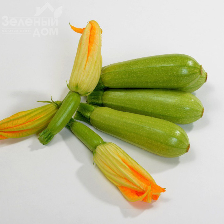 Хіба F1 / Hiba F1, 32-35 днів фото 2