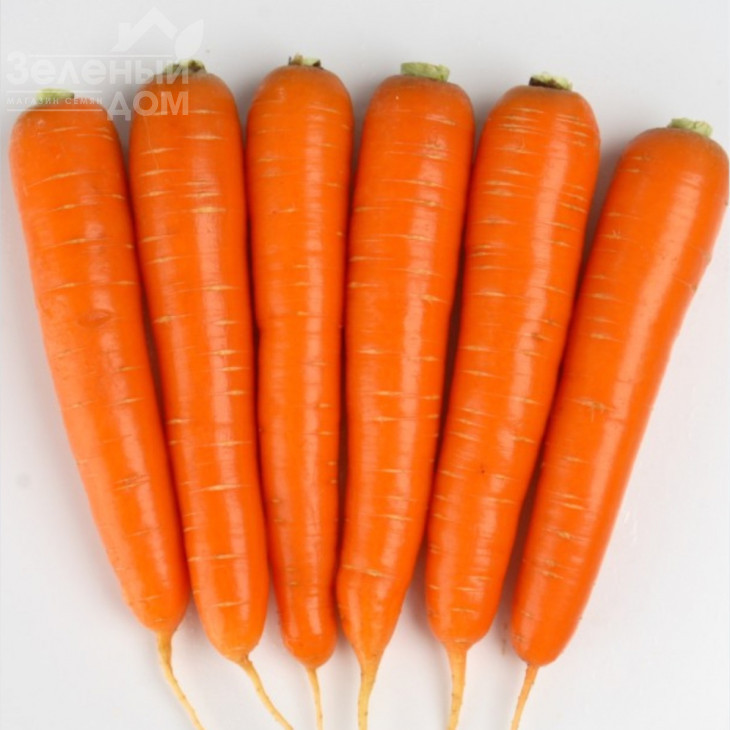 Натіва F1 / Nativa F1, 95 днів фото 1