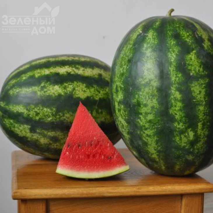 Мисон F1 / Mison F1 фото 1