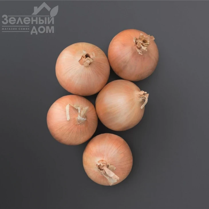 Онеида F1 / Oneida F1 фото 1