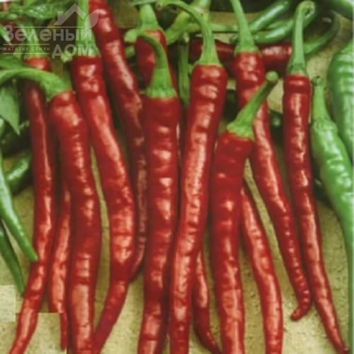 Каркулка / Karkulka, 60-70 дней фото 1