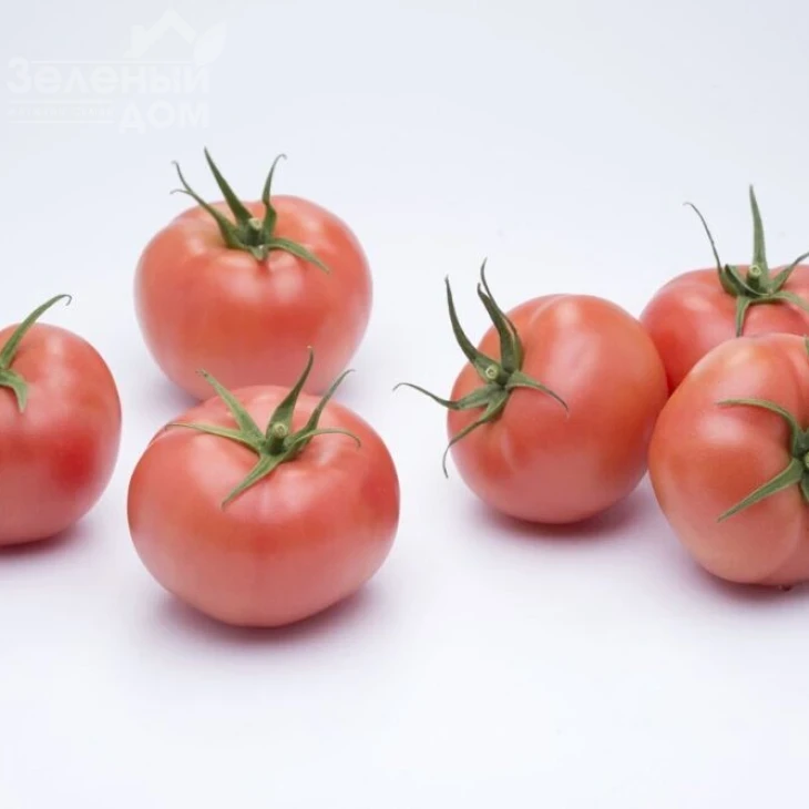 Мамстон F1 / Mamston F1,58-60 дней фото 1