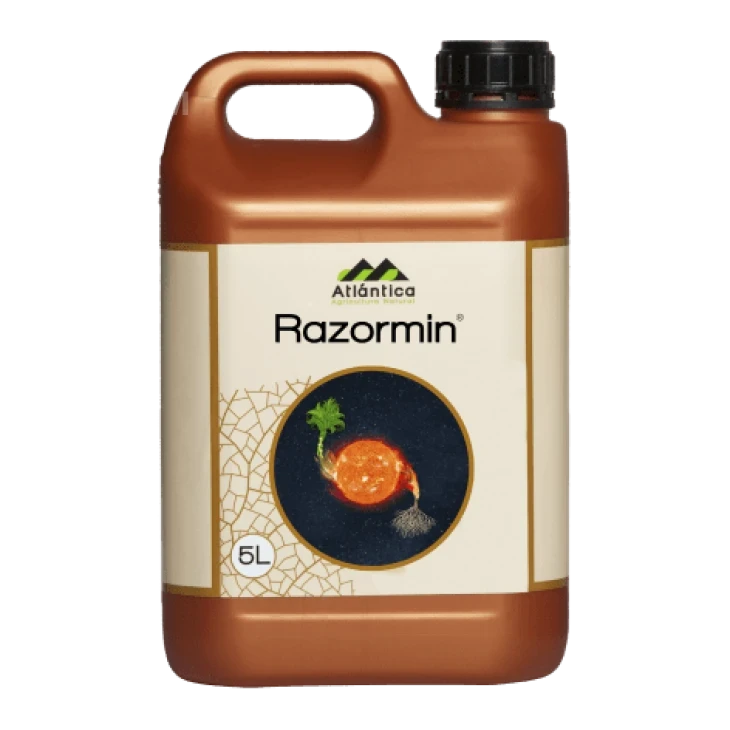 Разормін / Razormin фото 1