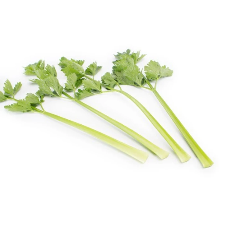 Келвин / Kelvin,140 дней фото 3