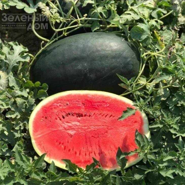 ЦРХ 10510 F1 / CRX 10510 F1 фото 1