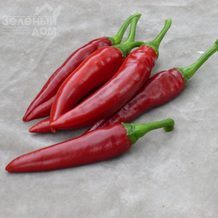 Палоташ F1 / Palotash F1, 95-110 днів фото 3