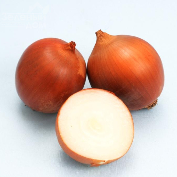 Сталкер F1 / Stalker F1 (Стандарт +) фото 2