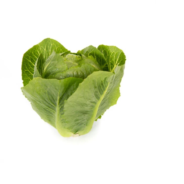 Тендита / Tendita фото 3