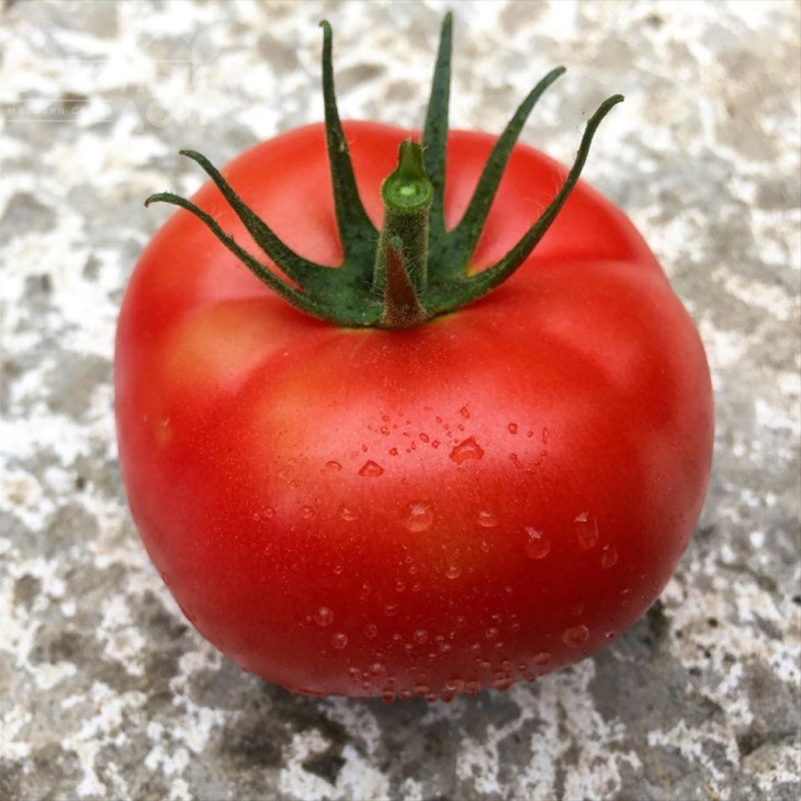 Клад F1 / Klad F1,95 днів фото 1