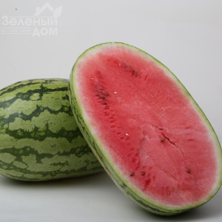 ЛС 1551 F1 / LS 1551 F1,62-65 днів фото 1