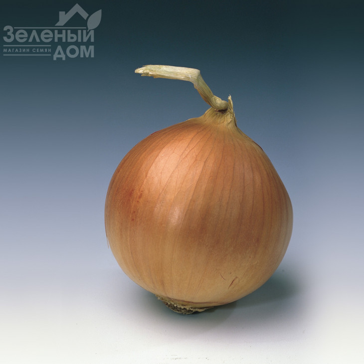 Банко / Banko,115-120 днів фото 1