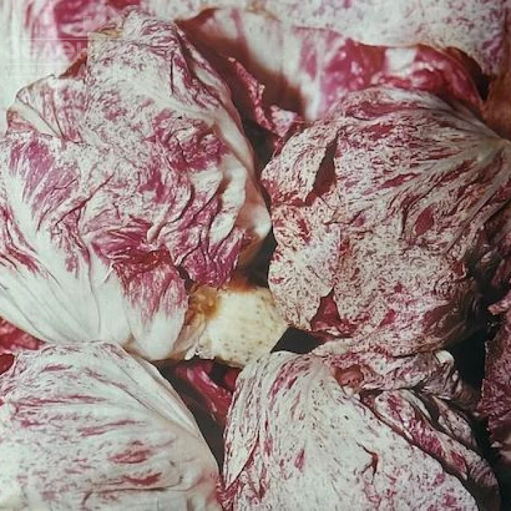 Ди Кьоджа / Di Kiodzha, 60 дней фото 1