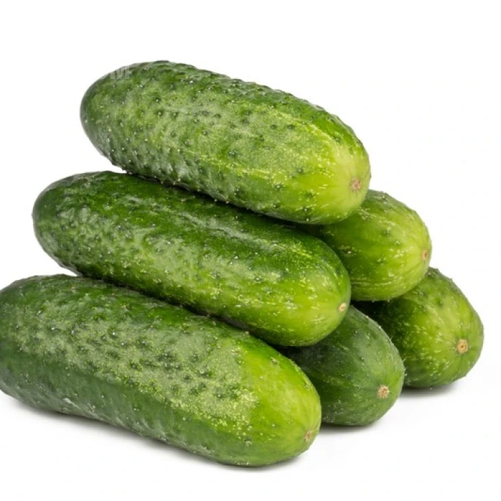 Рубато F1 / Rubato F1 фото 1