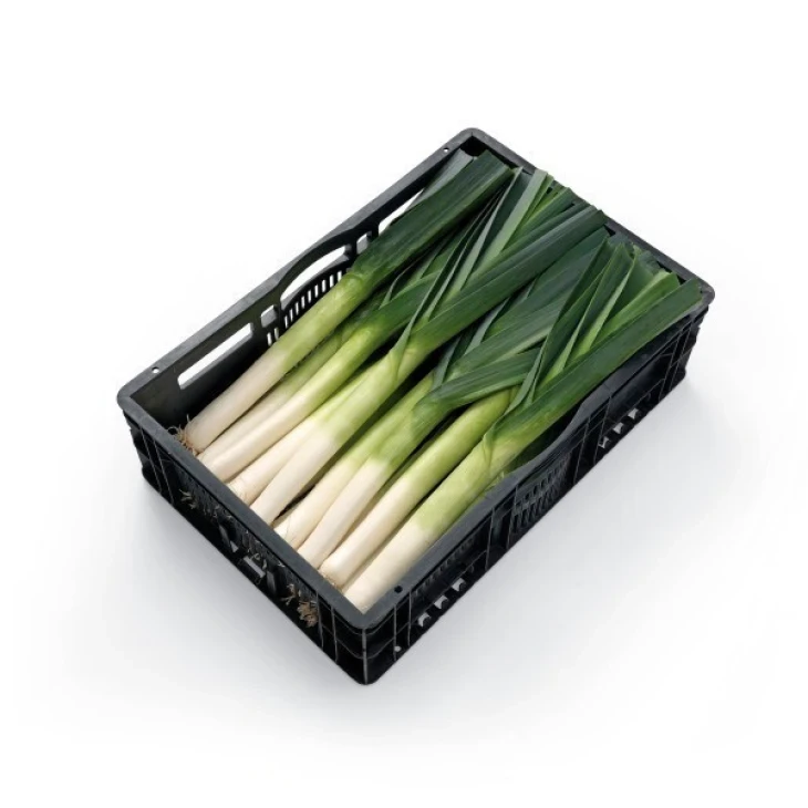 Плустон F1 / Pluston F1, 110-120 дней фото 1