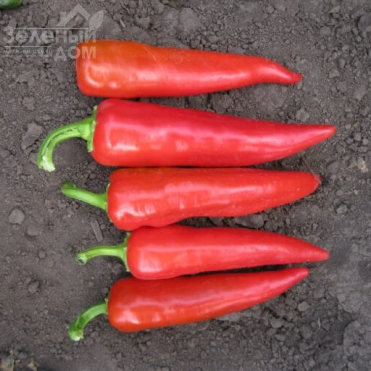 Харизма F1 / Kharyzma F1, 60 дней фото 2