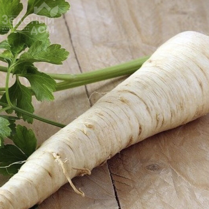 Берлінія / Berliniya фото 2