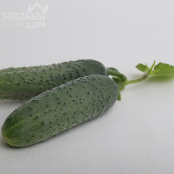 ЛС 1912 F1 / LS 1912 F1 фото 2