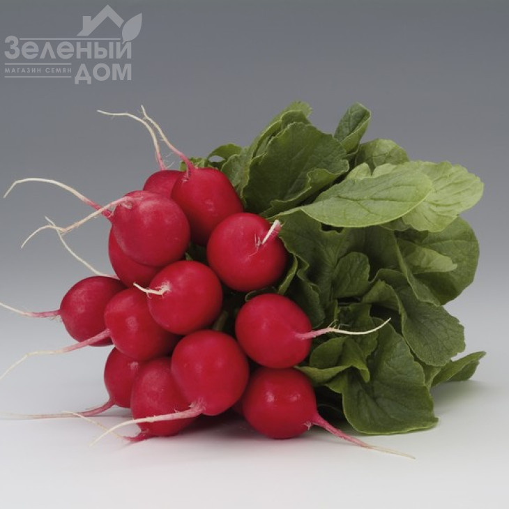 Мондіал F1 / Mondial F1,25-30 днів фото 1