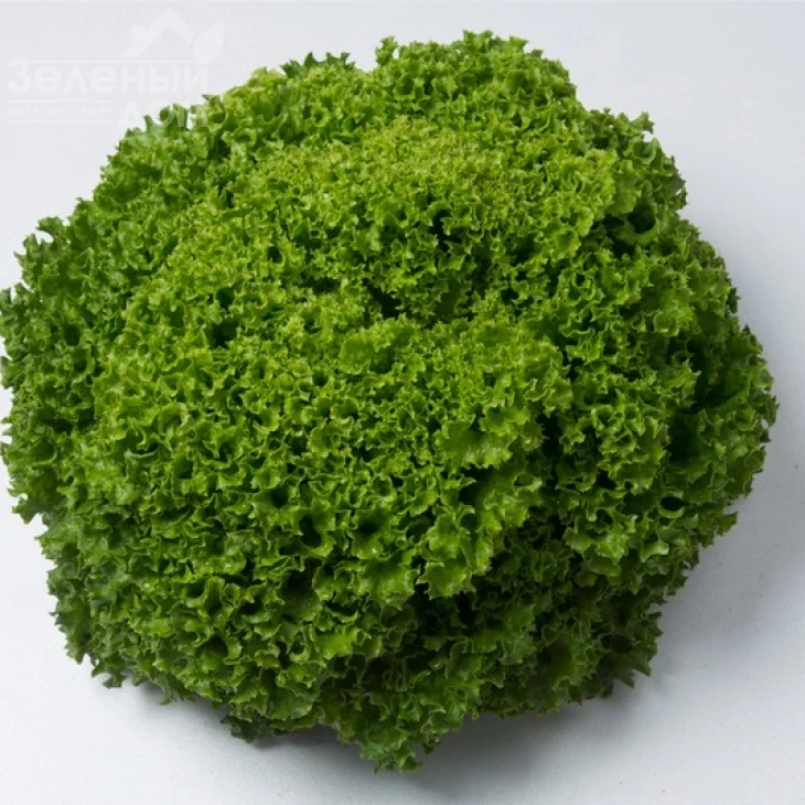 Илема / Ilema фото 4