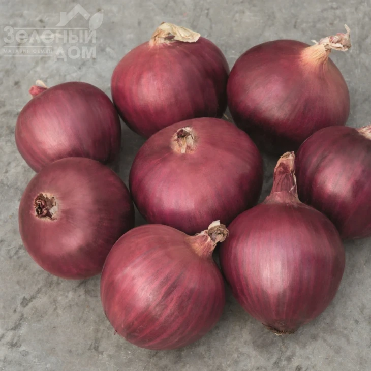 Ред Булл F1 / Red Bull F1,115-120 дней фото 2