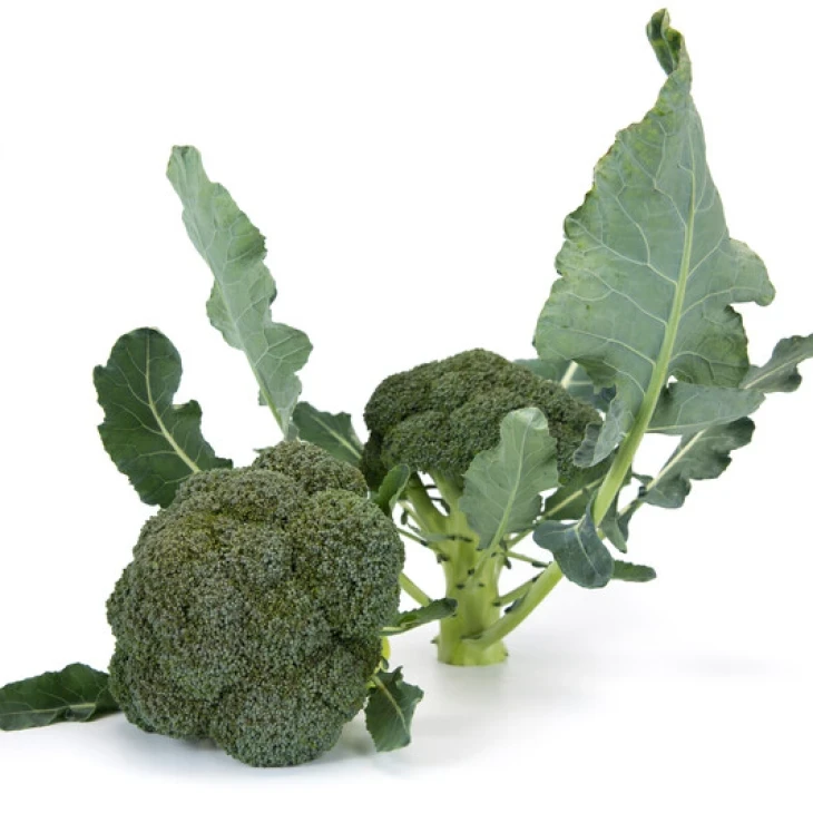 Викарио F1 / Vicario F1, 65-70 дней фото 1