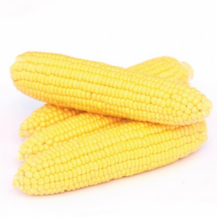 Хан F1 / Han F1,70-75 днів фото 1