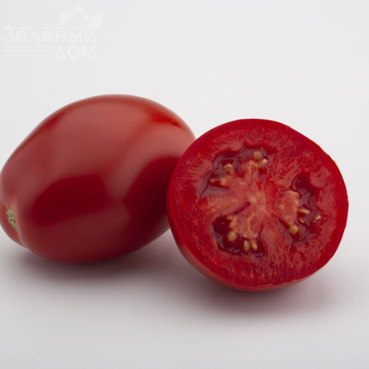 Енотріо F1 / Enotrio F1, 120 днів фото 4