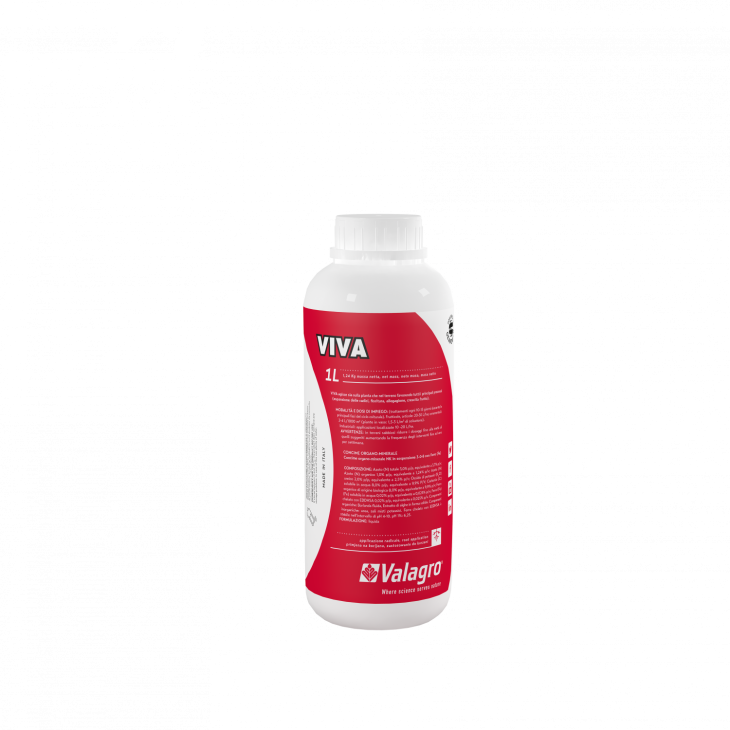 Віва / Viva фото 1