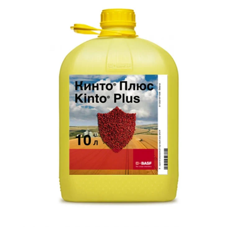 Кінто Плюс / Kinto Plus, ТН фото 1