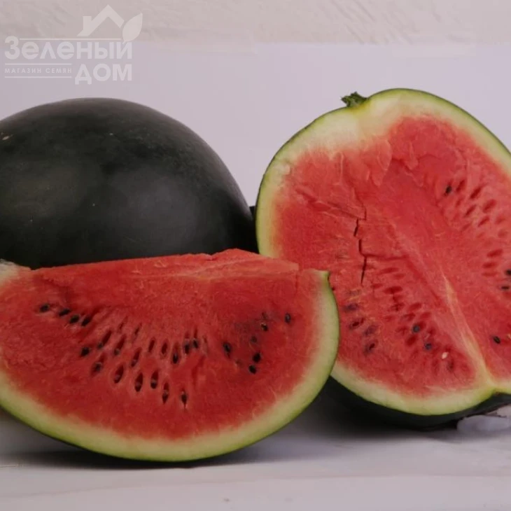 Туманец F1 / Tumanec F1 фото 1