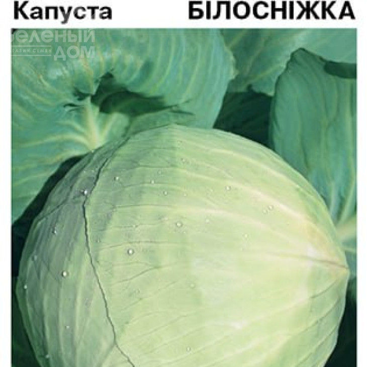 Білосніжка / Belosnezhka фото 2