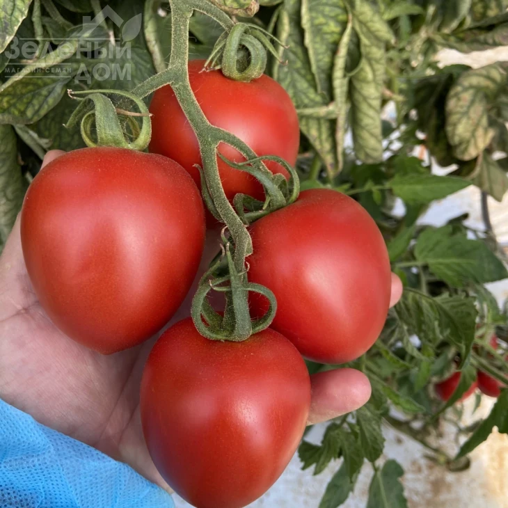 Бильбао F1 / Bilbao F1 фото 3