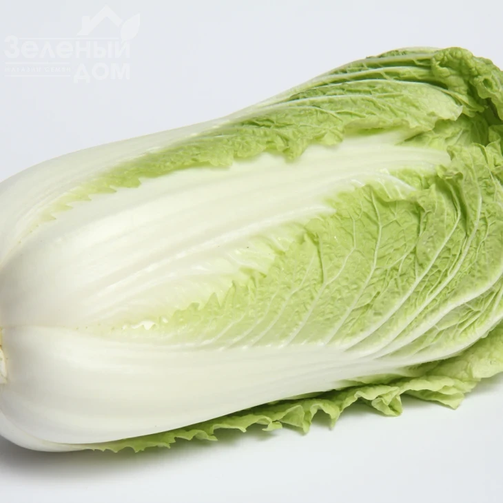 Зимородок F1 / Zymorodok F1,55-65 дней фото 1