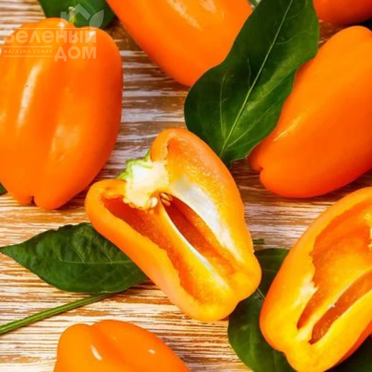 Гамик / Hamik,80-90 дней фото 1