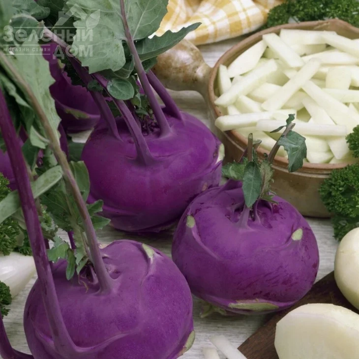 Модрава F1 / Modrava F1,40-50 дней фото 1