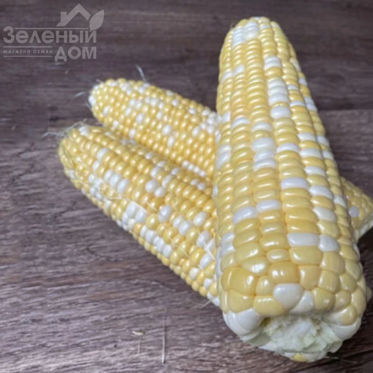 Дефендер F1 / Defender F1,74 дня фото 4