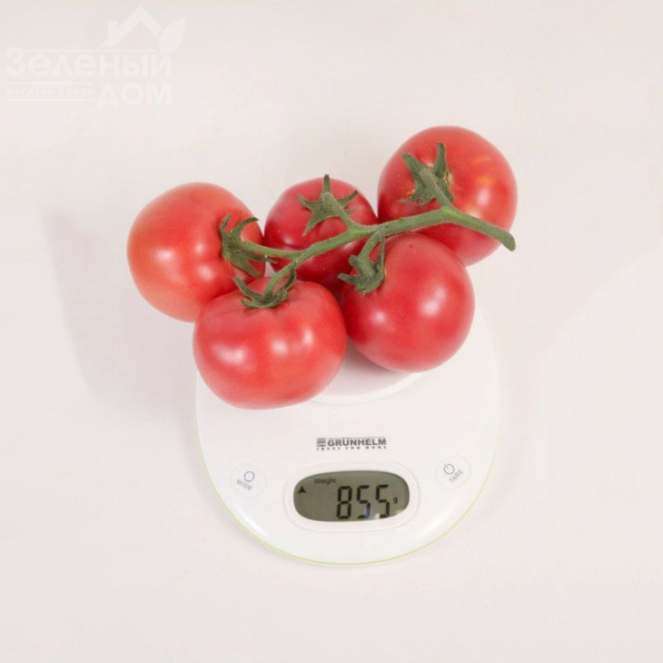 КС 311 F1 / KS 311 F1 фото 1