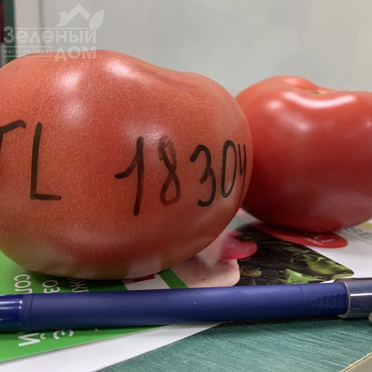 Розетт (ТЛ 18304) F1 / Rosett (TL 18304) F1 фото 3