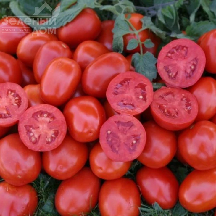 1311 F1 / 1311 F1, 115 дней фото 1