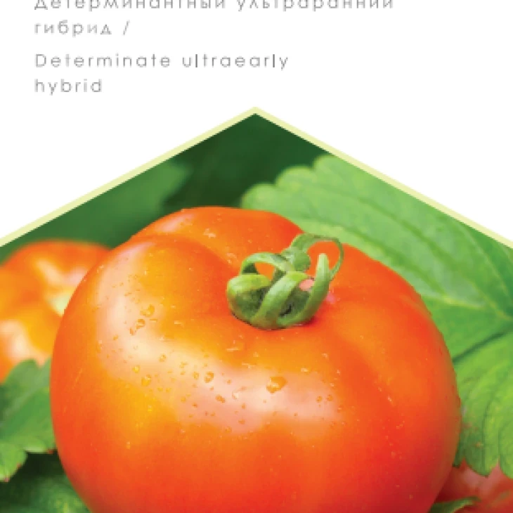 Аврора F1 / Avrora F1, 79-82 дня фото 1