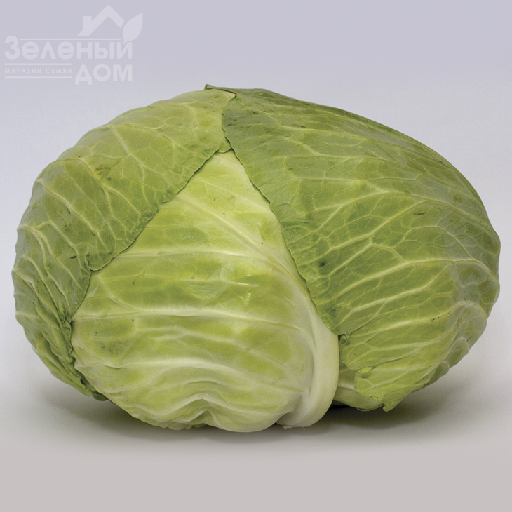 Джекпот F1 / Jackpot F1, 75-85 днів фото 1