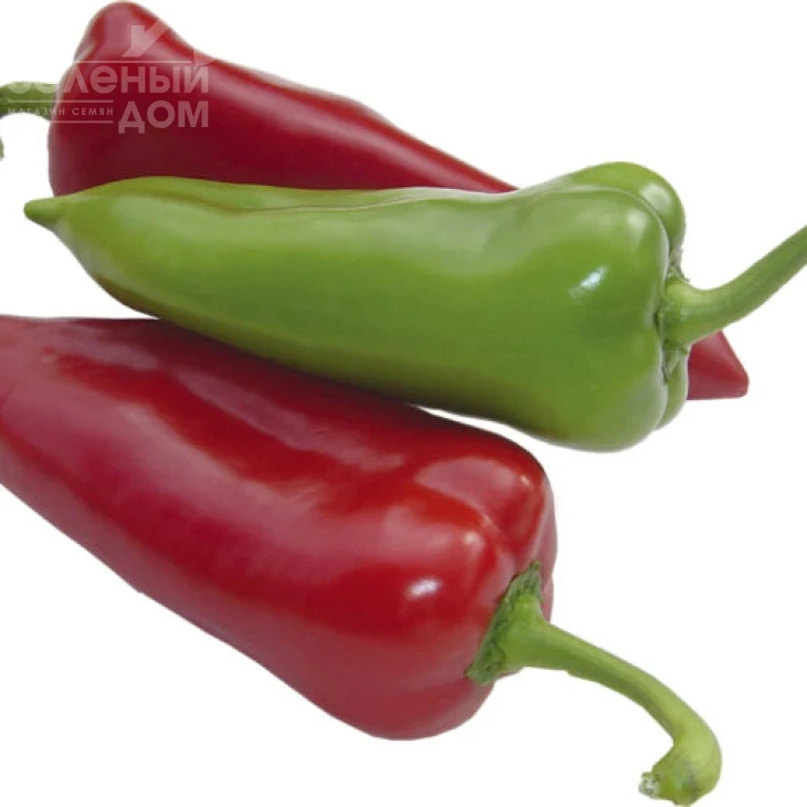 Магус F1 / Magus F1,60 дней фото 3