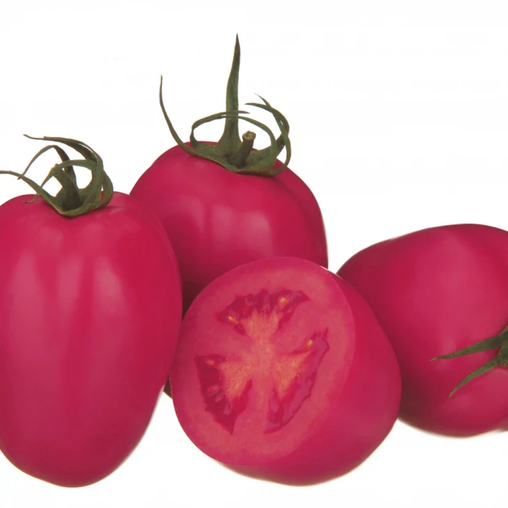 Пинк Пионер F1 / Pink Pioneer F1,115-120 дней фото 1