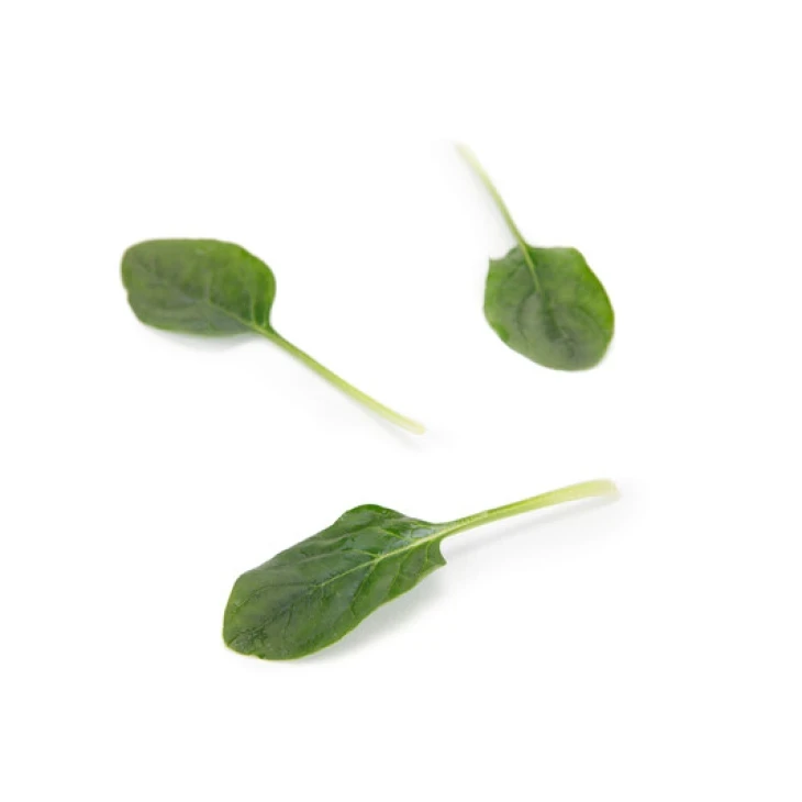 Пронгорн F1 / Prongnorn F1 фото 2