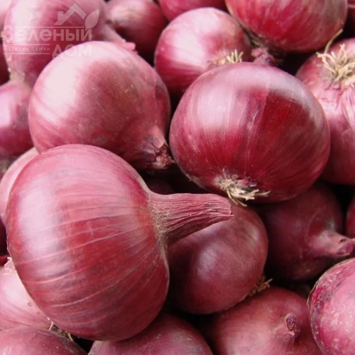 Кармен / Karmen,120 дней фото 1