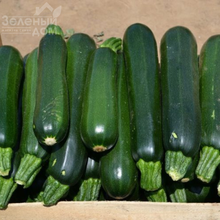 Базальт F1 / Bazalt F1,45 дні фото 1