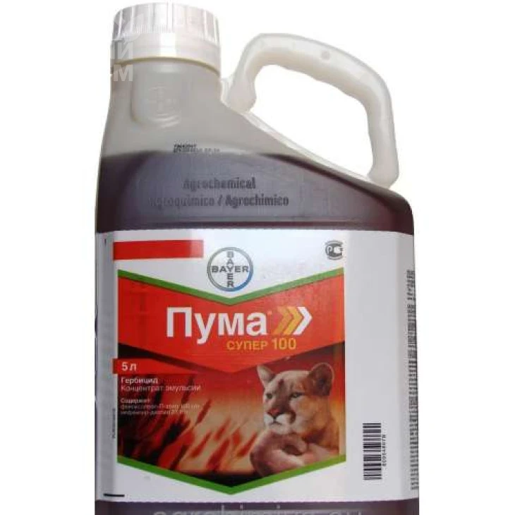 Пума Супер / Puma Super фото 1
