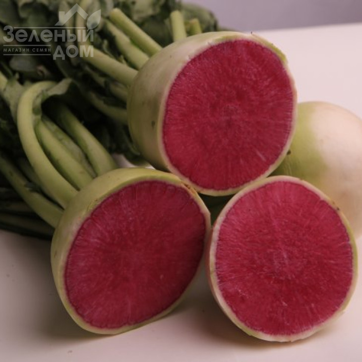 Пінкі Мерікол / Pinky Merikol фото 1