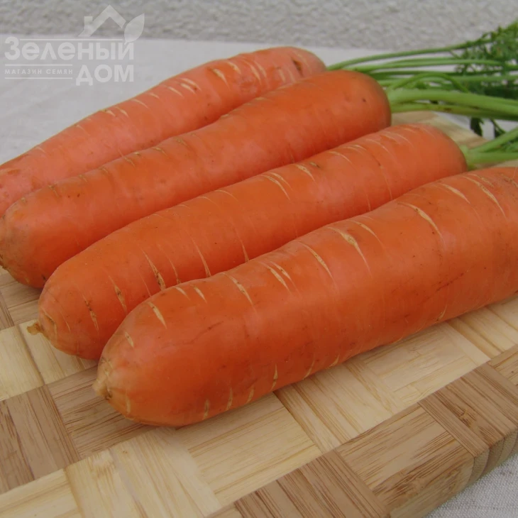 Берлика F1 / Berlika F1,105-110 дней фото 1