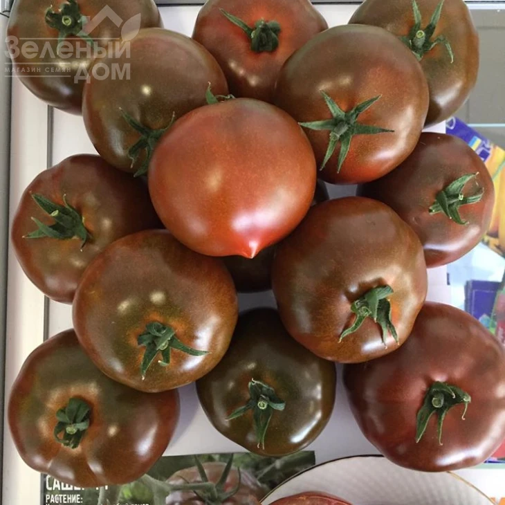 Сашер F1 / Sasher F1 фото 2